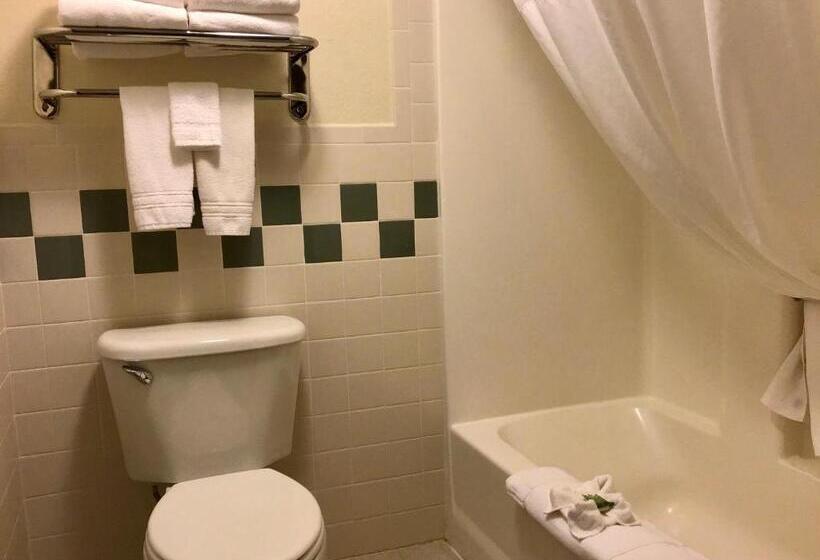 Стандартный Номер Кровать Кинг, Americinn By Wyndham Rexburg Byui