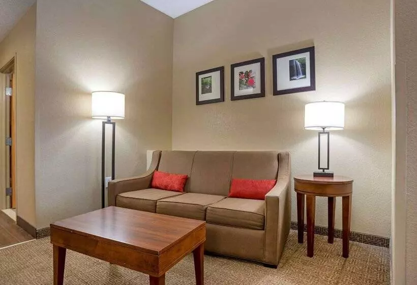 スイート, Comfort Suites Oxford I 20 Exit 188