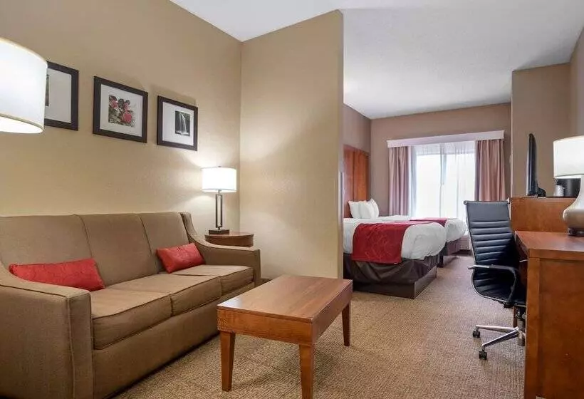 スイート, Comfort Suites Oxford I 20 Exit 188