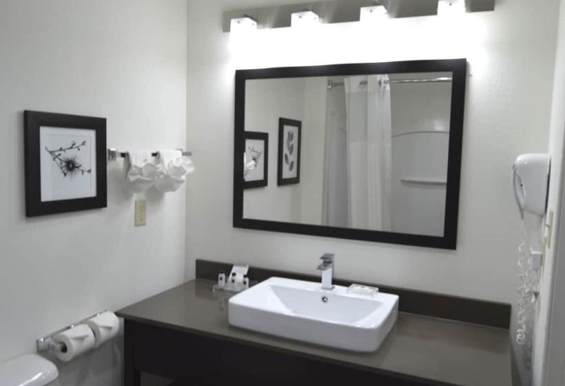 جناح لذوى الاحتياجات الخاصة, Country Inn & Suites By Radisson Fairborn South Oh