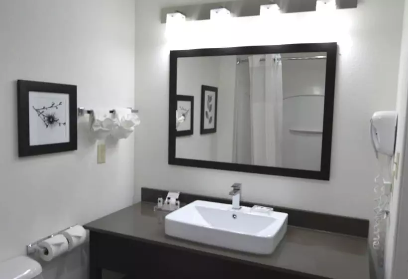 身障者適用スイートルーム, Country Inn & Suites By Radisson Fairborn South Oh