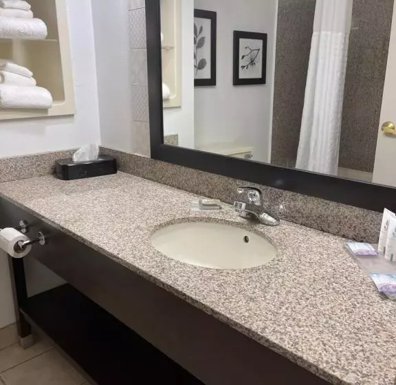 スタンダードルーム, Country Inn & Suites By Radisson, Merrillville, In