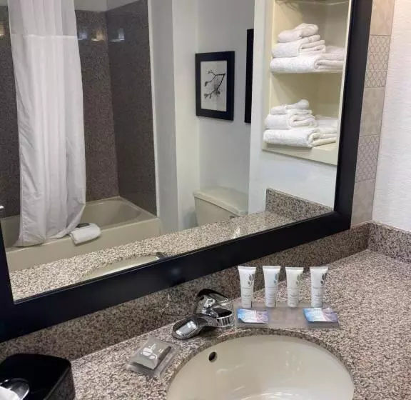キングサイドベッドのスタンダードワンルーム, Country Inn & Suites By Radisson, Merrillville, In