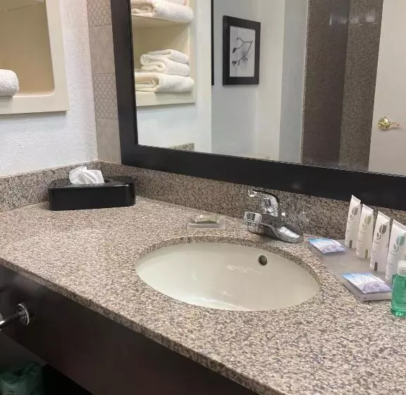 キングサイズベッドのスタンダードルーム, Country Inn & Suites By Radisson, Merrillville, In