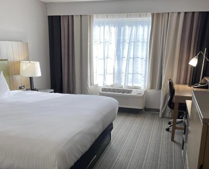 스탠다드 룸 킹사이즈 침대, Country Inn & Suites By Radisson, Merrillville, In