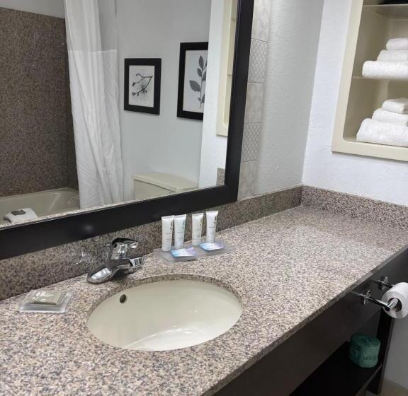 جناح سرير كينج, Country Inn & Suites By Radisson, Merrillville, In