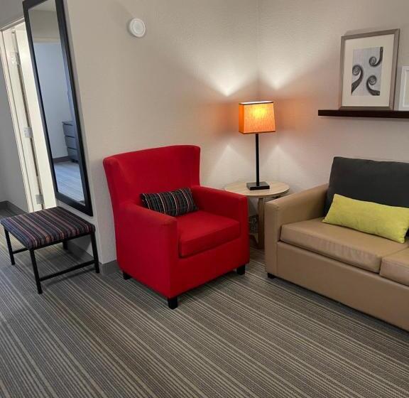 キングサイズベッドのスイートルーム, Country Inn & Suites By Radisson, Merrillville, In
