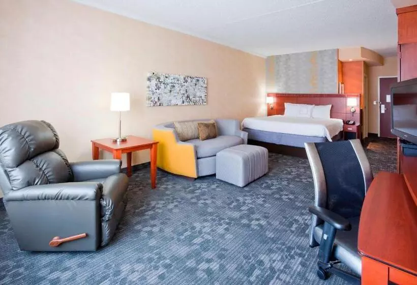 اتاق استاندارد با تخت بزرگ, Courtyard Rochester Mayo Clinic Area/saint Marys