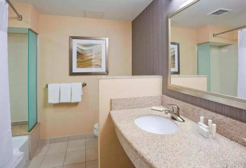 اتاق استاندارد با تخت بزرگ برای معلولان, Courtyard Rochester Mayo Clinic Area/saint Marys