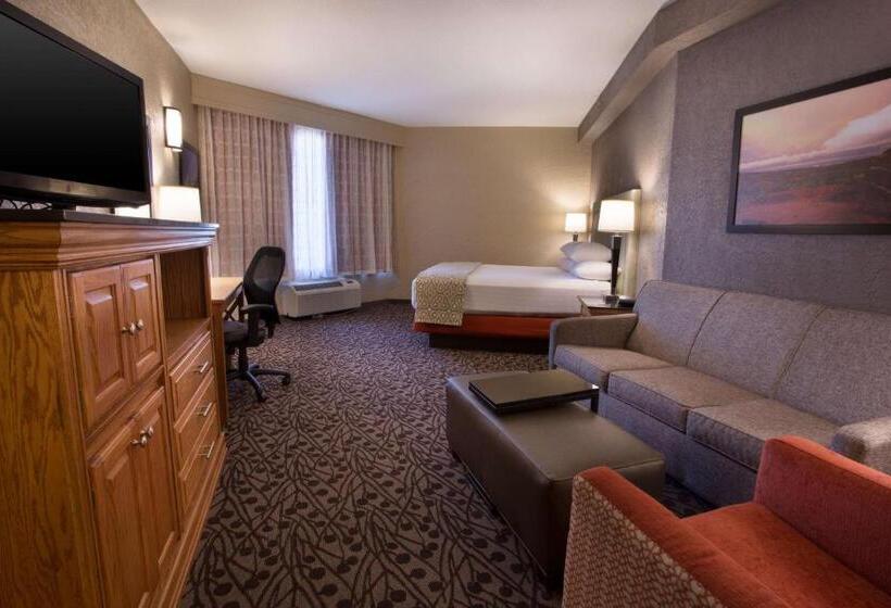 غرفة ديلوكس سرير كينج, Drury Inn & Suites Amarillo