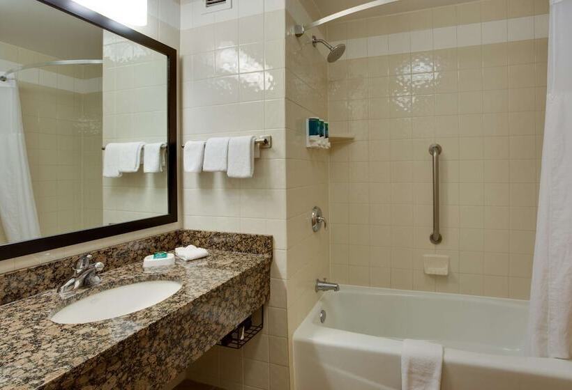 غرفة ديلوكس مزودة بتراس, Drury Inn & Suites Amarillo