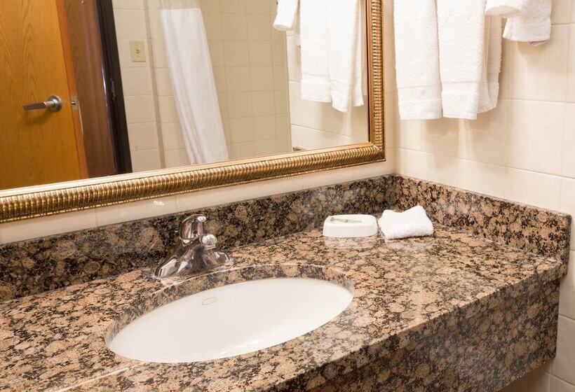 חדר דלוקס עם מרפסת טרסה, Drury Inn & Suites Amarillo