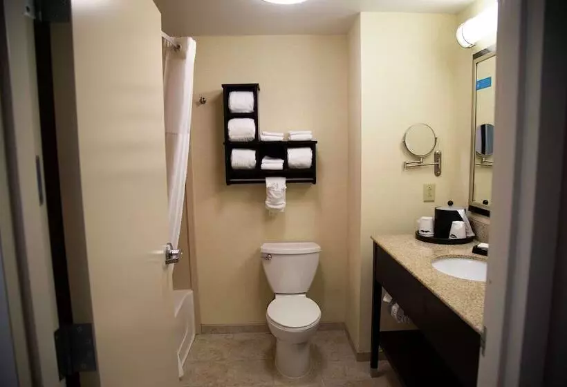 スタンダードルーム, Hampton Inn & Suites Sharon