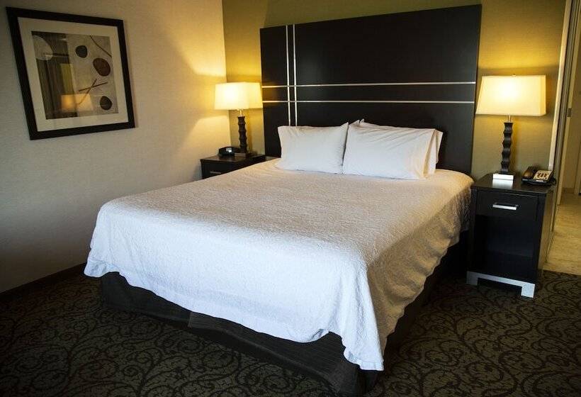 Номер Стандарт, Hampton Inn & Suites Sharon