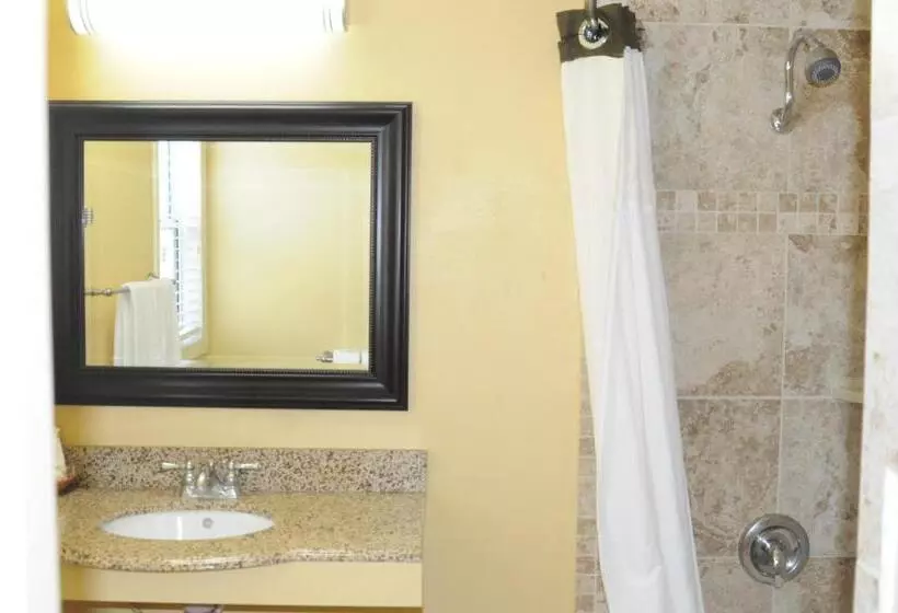 اتاق استاندارد با تخت بزرگ, Oasis Inn And Suites