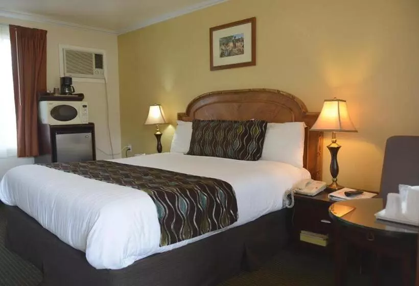 اتاق استاندارد با تخت بزرگ, Oasis Inn And Suites