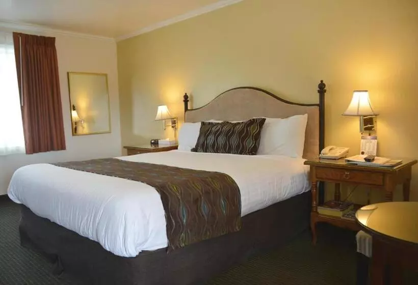 اتاق استاندارد با تخت بزرگ, Oasis Inn And Suites