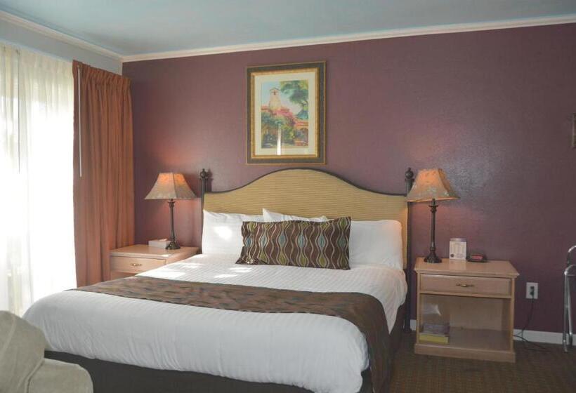 إستوديو قياسى سرير كينج, Oasis Inn And Suites