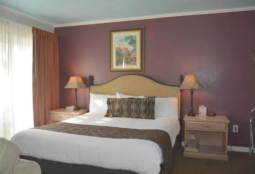 استودیو استاندارد با تخت کینگ, Oasis Inn And Suites