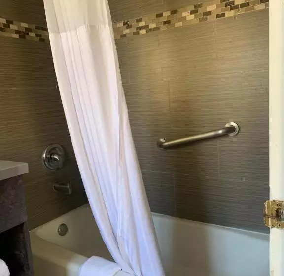 اتاق لوکس, Oasis Inn And Suites