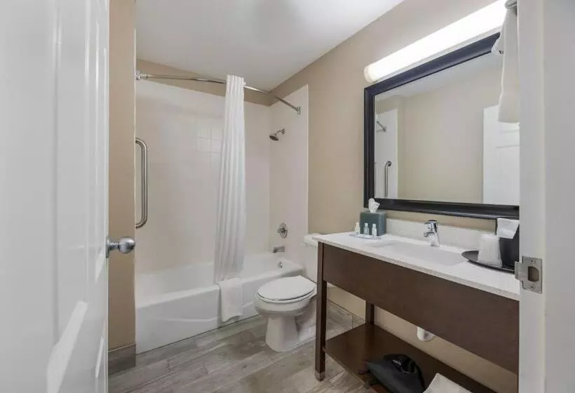 Standard-huone King-vuode, Quality Inn