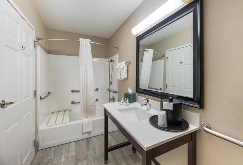 장애인을 위한 킹사이즈 침대 스탠다드 룸, Quality Inn