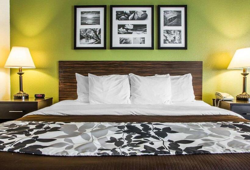 غرفة قياسية سرير كينج, Sleep Inn & Suites