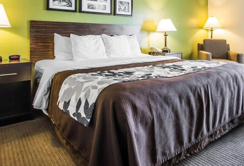 غرفة قياسية سرير كينج, Sleep Inn & Suites