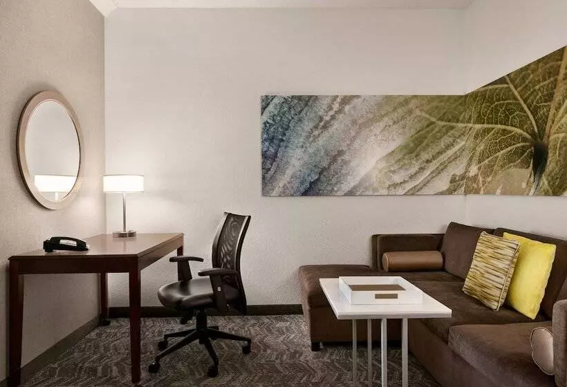 身障者適用スイートルーム, Springhill Suites Dulles Airport