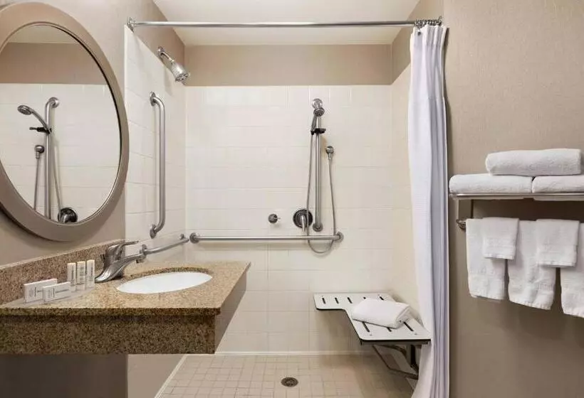 キングサイズベッドのスイートルーム, Springhill Suites Dulles Airport