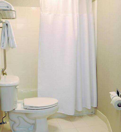 스위트 킹사이즈 침대, Springhill Suites Dulles Airport