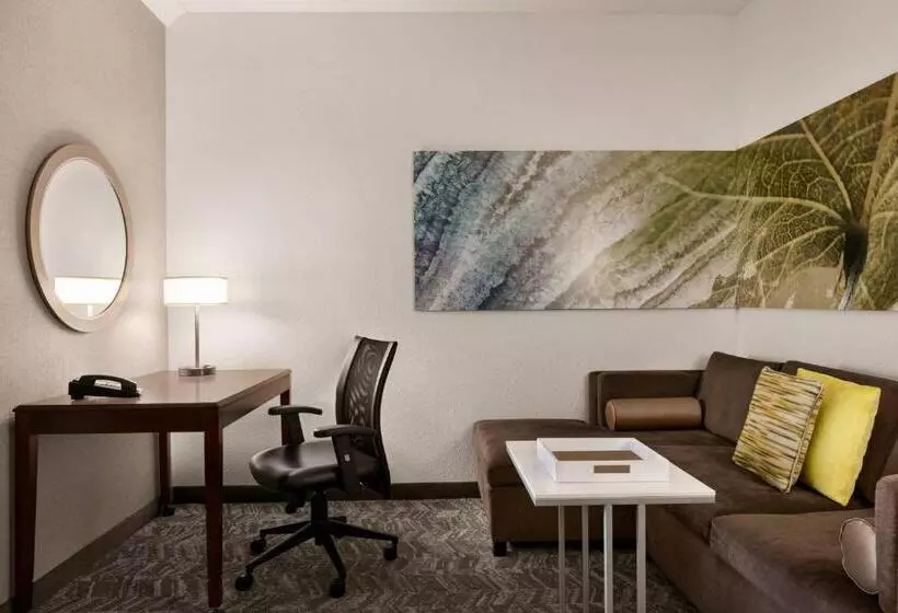 キングサイズベッドのスイートルーム, Springhill Suites Dulles Airport