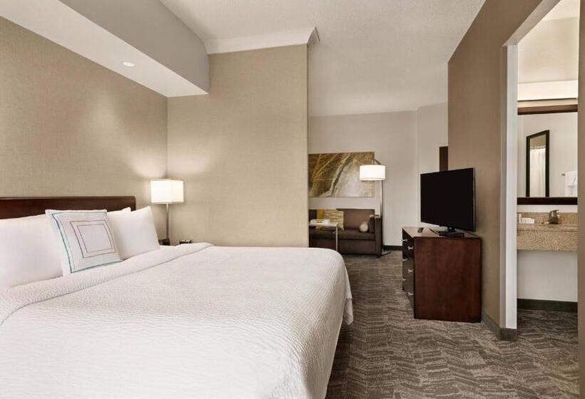 장애인을 위한 스위트, Springhill Suites Dulles Airport