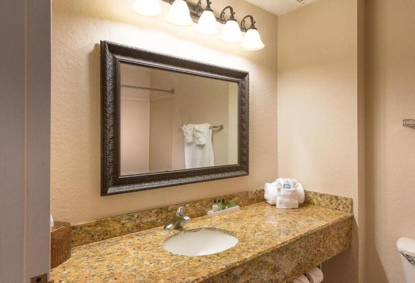 غرفة قياسية, Amelia Hotel At The Beach