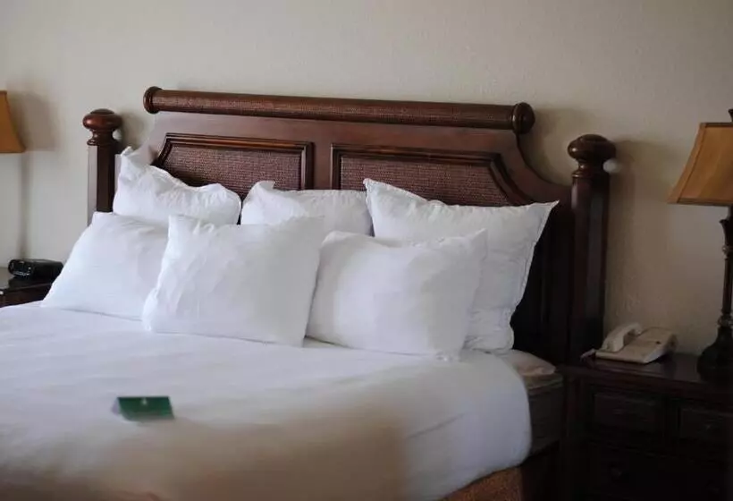 身障者適用キングサイズベッドルーム, Amelia Hotel At The Beach