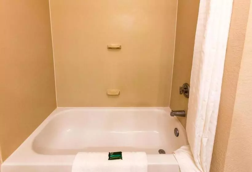 身障者適用キングサイズベッドルーム, Amelia Hotel At The Beach