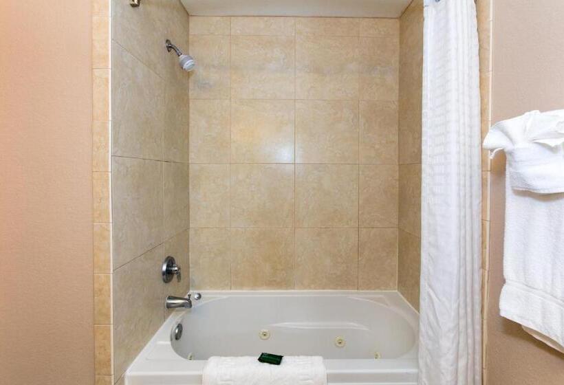 غرفة قياسية سرير كينج, Amelia Hotel At The Beach