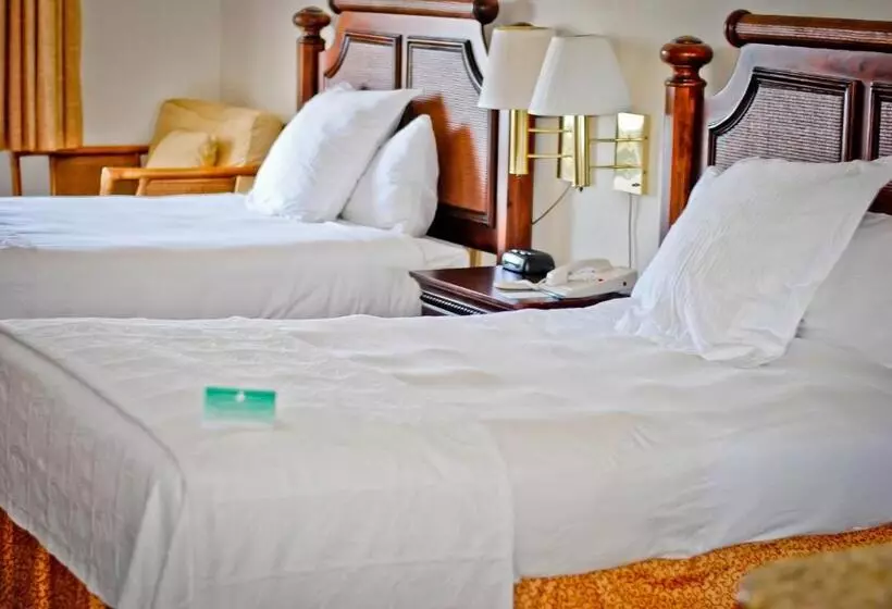 オーシャンビューデラックスルーム, Amelia Hotel At The Beach