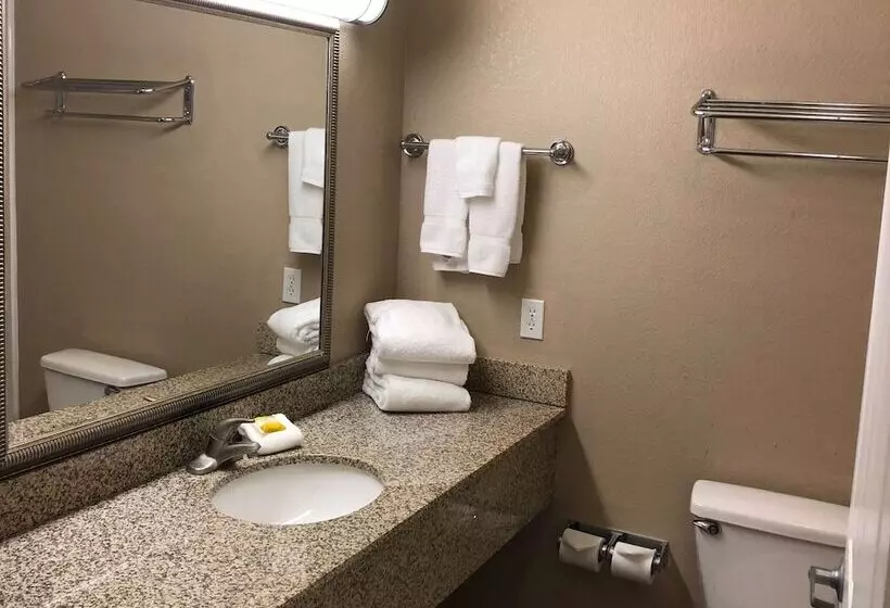 Standard-huone 2 Parivuodetta, Americas Best Value Inn Gun Barrel City