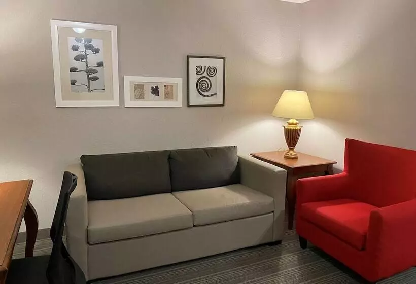 スイート, Country Inn & Suites By Radisson, Athens, Ga