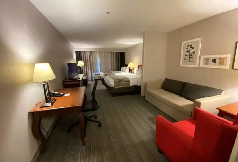 スタンダードスタジオ, Country Inn & Suites By Radisson, Athens, Ga