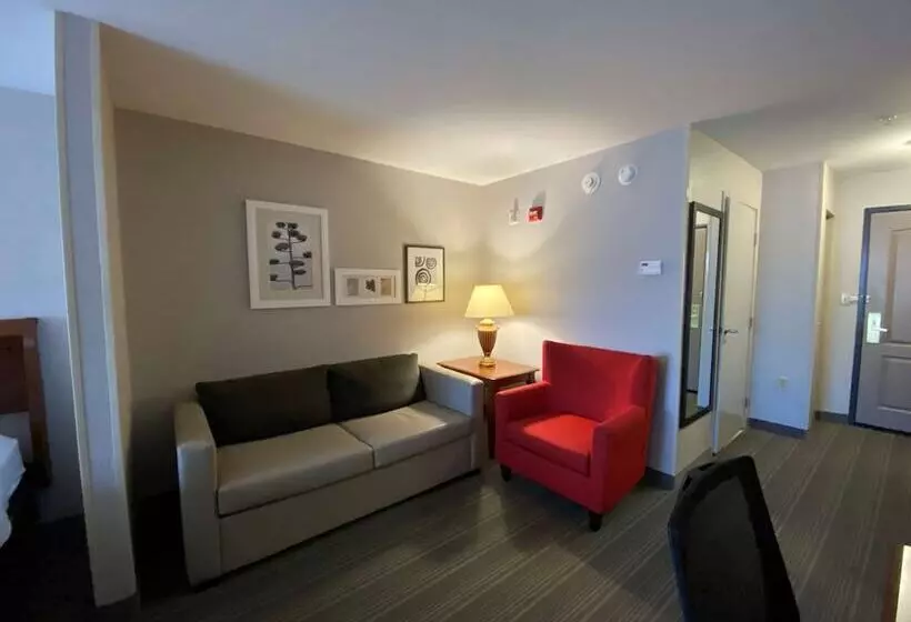 スタンダードスタジオ, Country Inn & Suites By Radisson, Athens, Ga