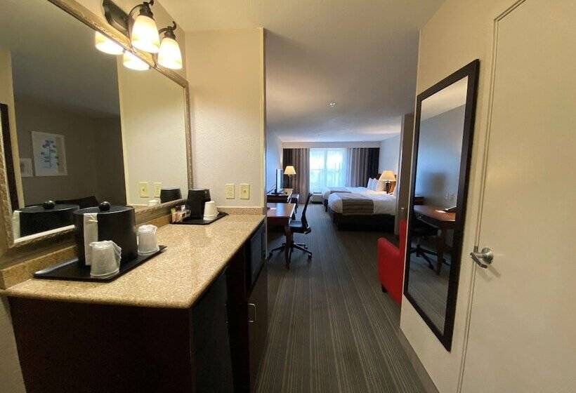 Студия Стандарт, Country Inn & Suites By Radisson, Athens, Ga
