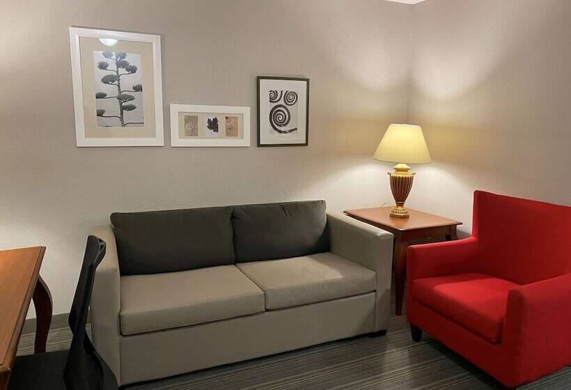 Люкс Адаптированный для Инвалидов, Country Inn & Suites By Radisson, Athens, Ga
