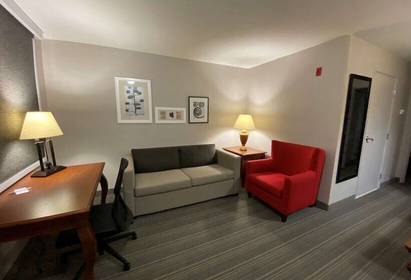 Suíte para Deficientes Físicos, Country Inn & Suites By Radisson, Athens, Ga