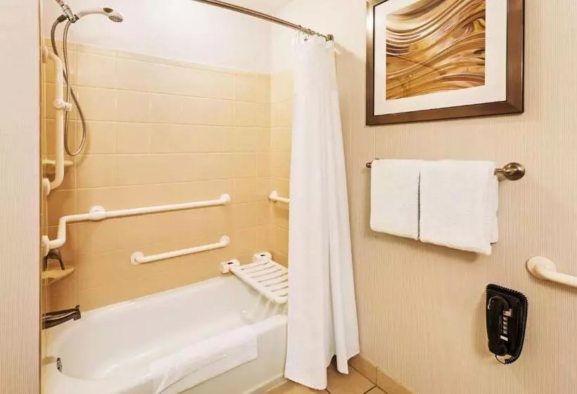キングサイズベッドのスタンダードルーム, Courtyard By Marriott Knoxville Airport Alcoa