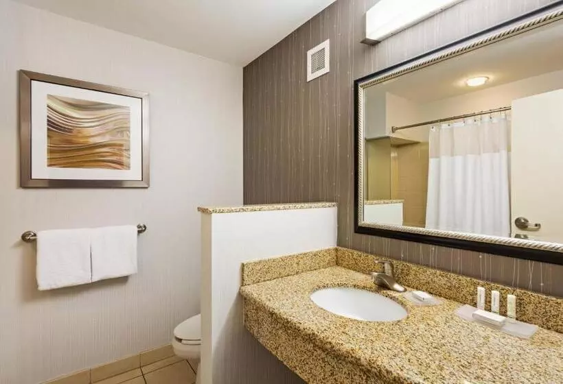 スタンダードルーム, Courtyard By Marriott Knoxville Airport Alcoa
