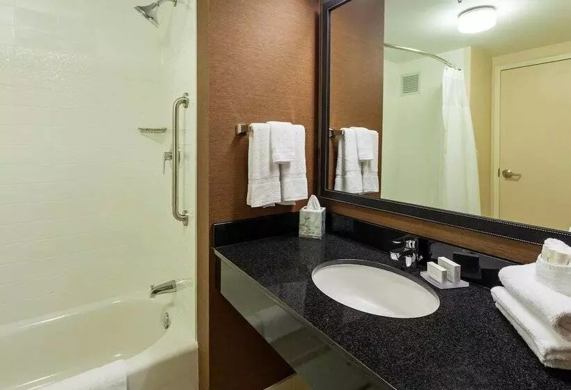 スタンダードスタジオ, Fairfield Inn And Suites Chicago Downtown River North