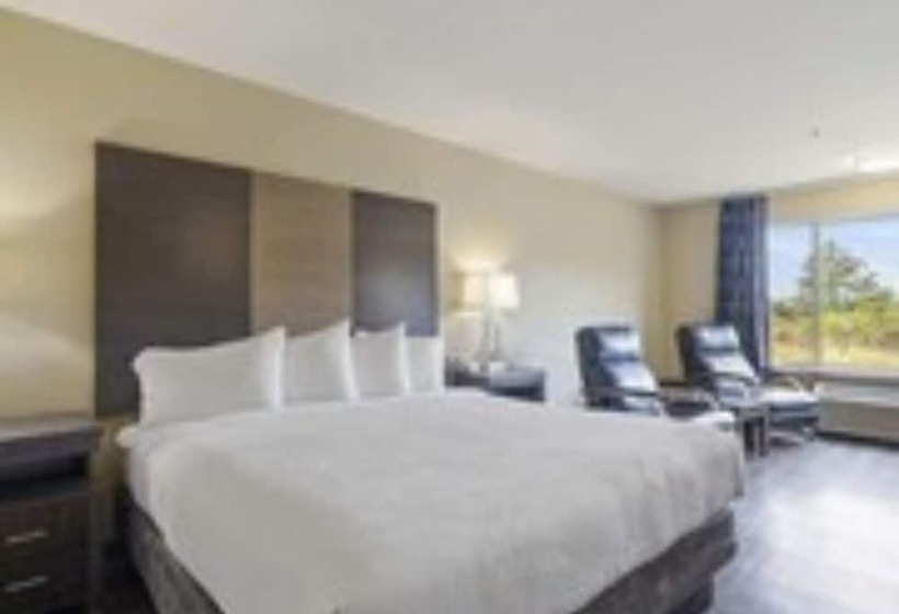 חדר סטנדרט יחיד מיטת קינג, Oceanview Inn At The Arch