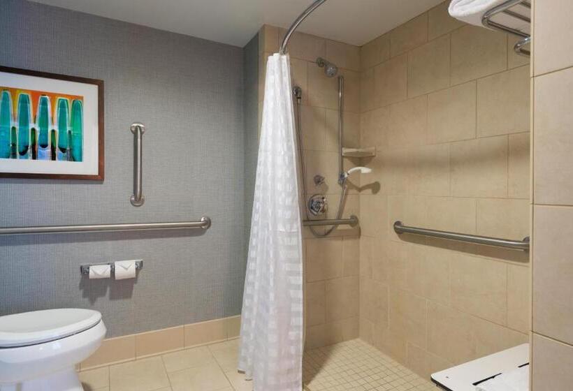 Номер Стандарт Кровать Кинг Адаптированный для Инвалидов, Hyatt Place Lexington